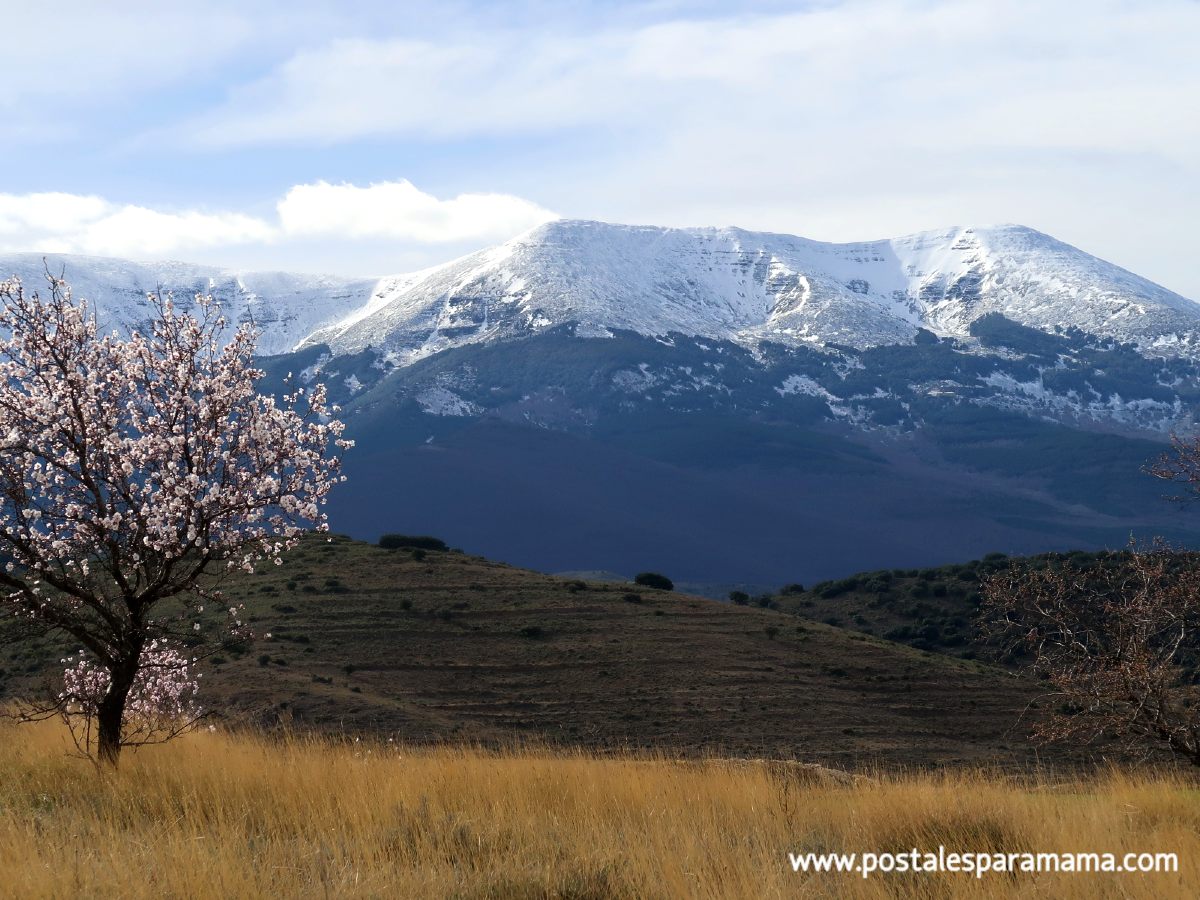 Pueblos del Moncayo Parte I - Postales para Mamá