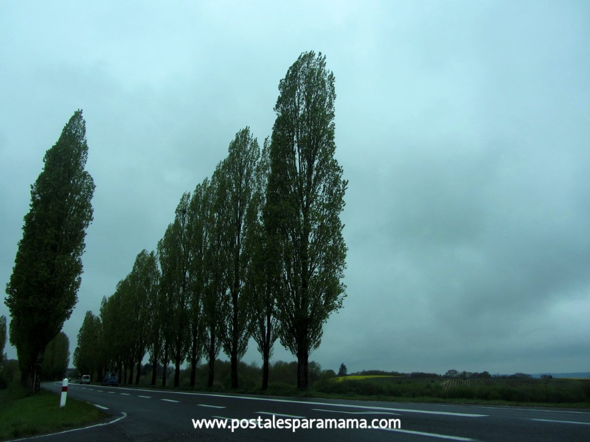 Viajar Coche Invierno - Postales para Mamá